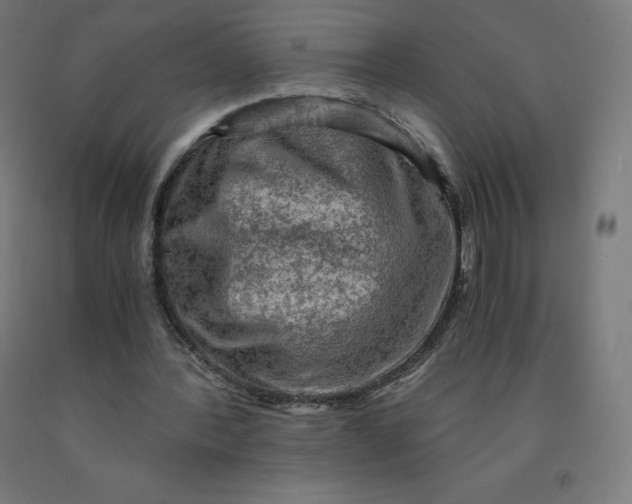 X0000092000388200709271512