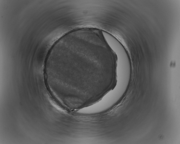 X0000092000389200709271512