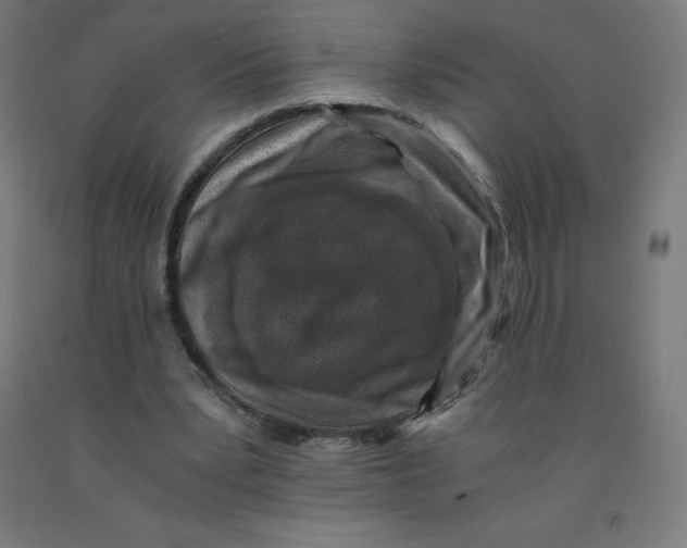 X0000092000391200709271512