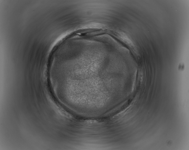 X0000092000392200709271512