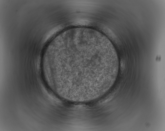 X0000092000396200709271512