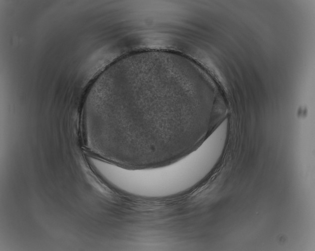 X0000092000397200709271512