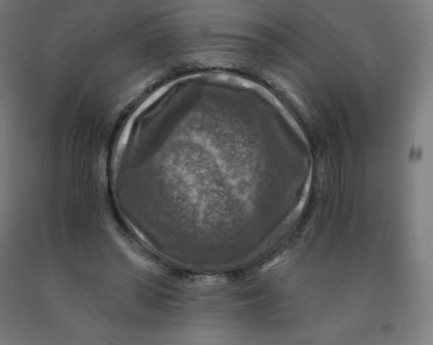 X0000092000398200709271512