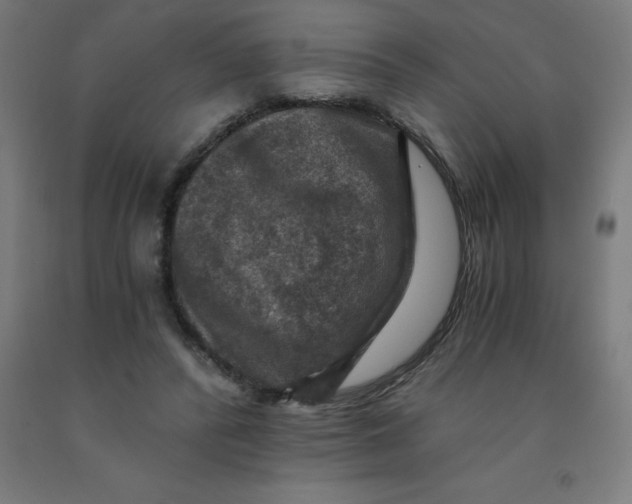 X0000092000400200709271512