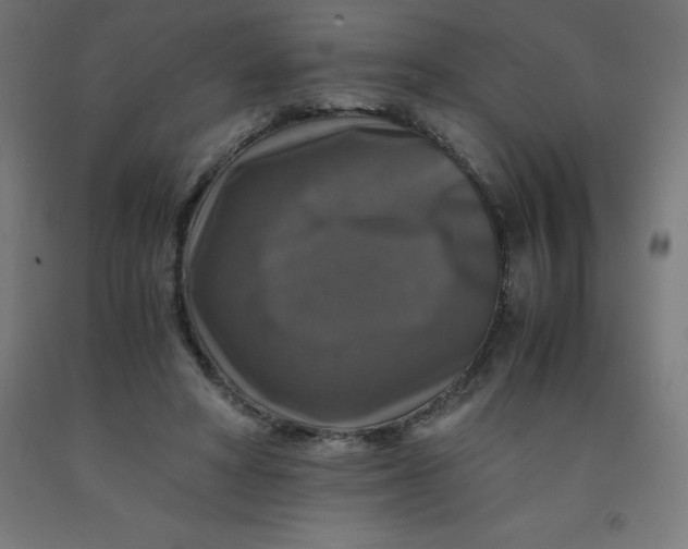 X0000092000402200709271512