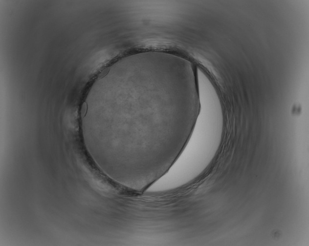 X0000092000403200709271512