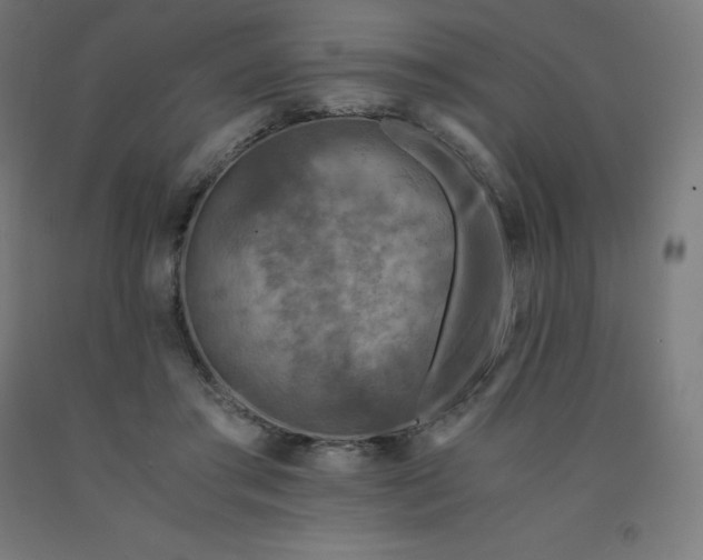 X0000092000405200709271512