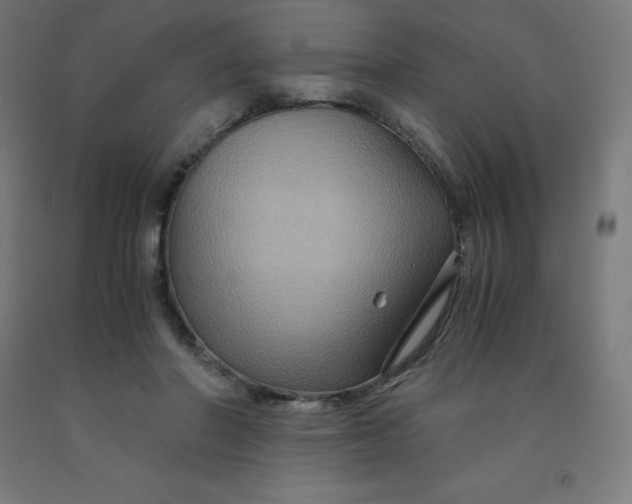 X0000092000406200709271512