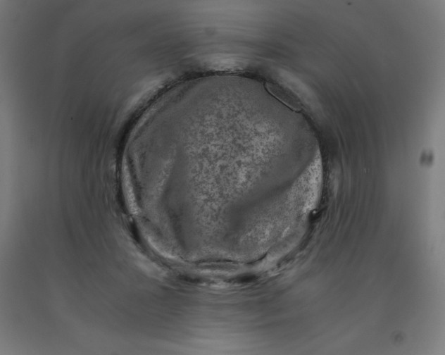 X0000092000407200709271512