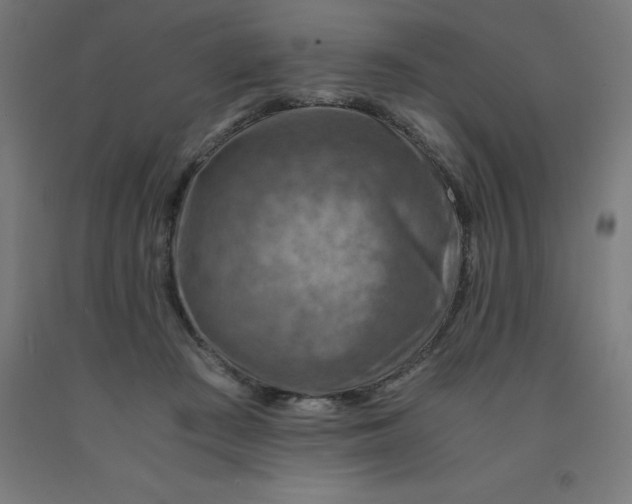 X0000092000409200709271512