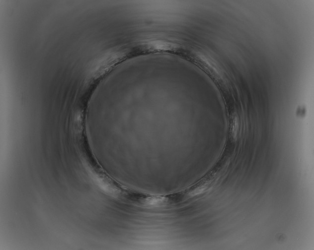 X0000092000410200709271512