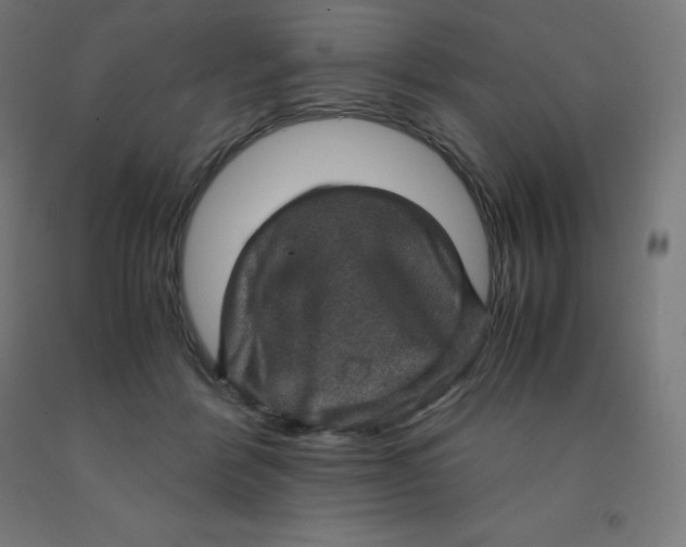 X0000092000412200709271512