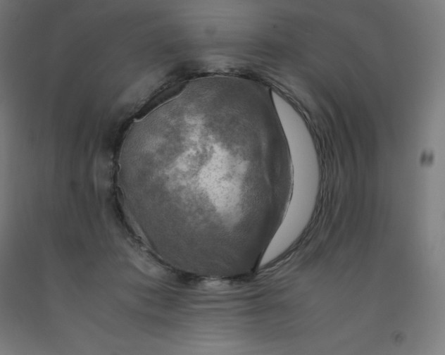 X0000092000413200709271512