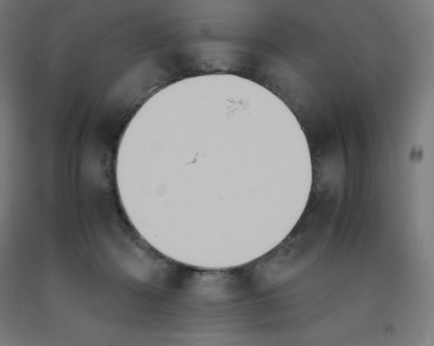 X0000092000414200709271512