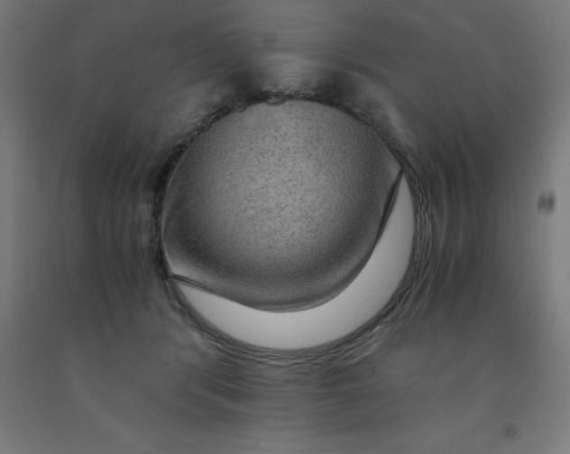 X0000092000416200709271512