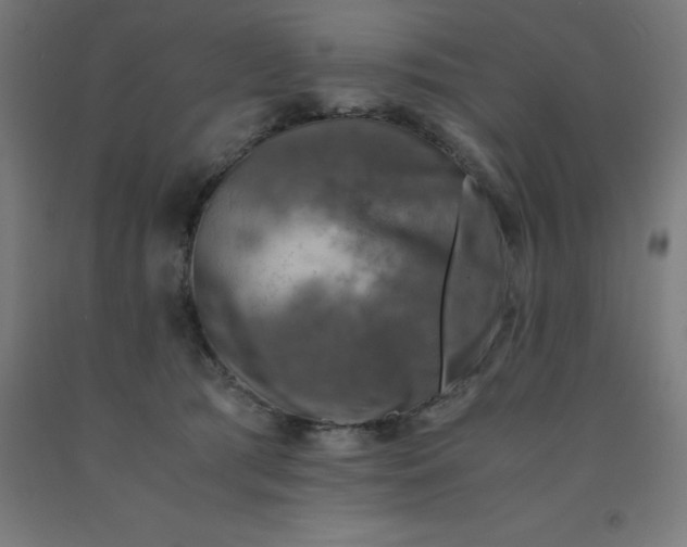 X0000092000417200709271512