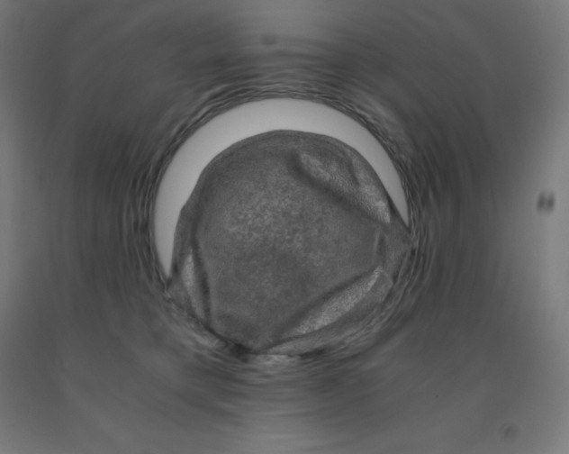 X0000092000421200709271512