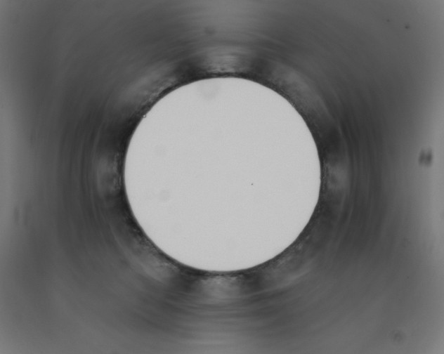 X0000092000422200709271512