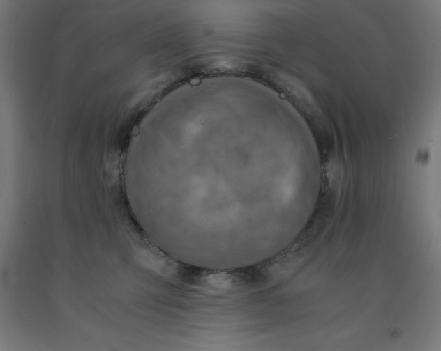 X0000092000423200709271512