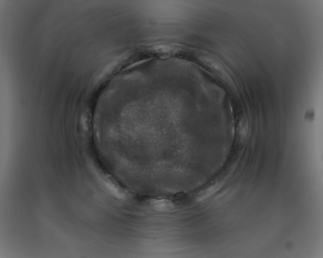 X0000092000424200709271512