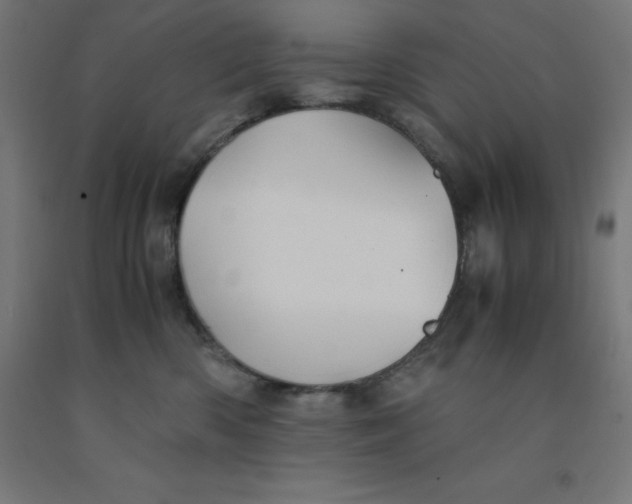 X0000092000426200709271512