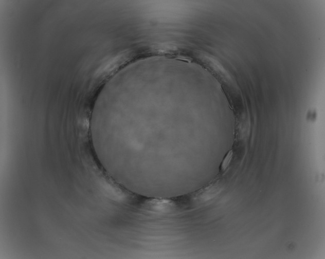 X0000092000427200709271512