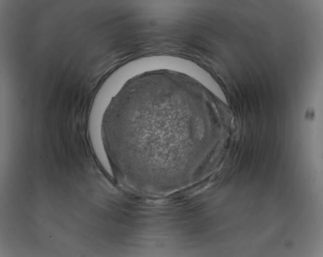 X0000092000428200709271512