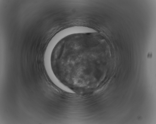 X0000092000432200709271512