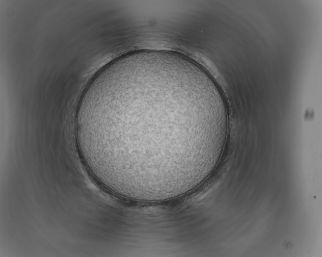 X0000092000433200709271511