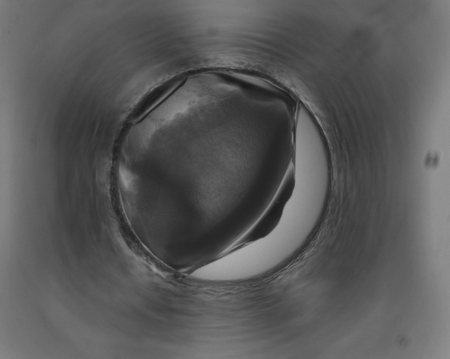 X0000092000434200709271511