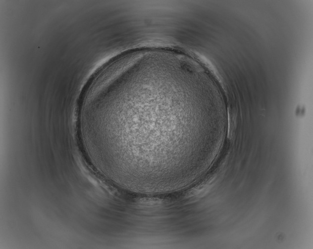 X0000092000435200709271511