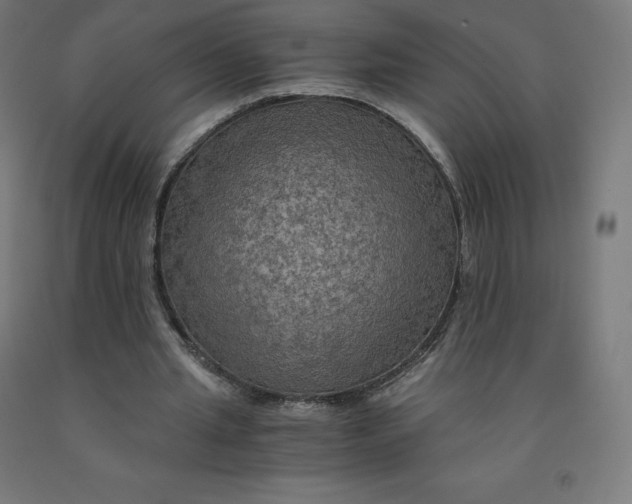 X0000092000437200709271511