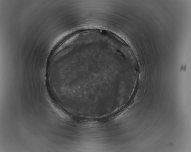 X0000092000438200709271511