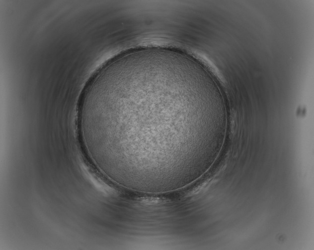 X0000092000439200709271511