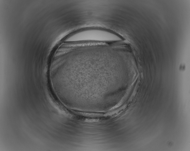 X0000092000440200709271511