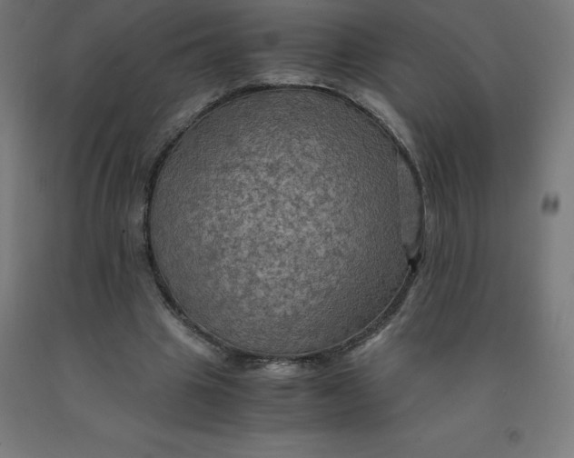 X0000092000441200709271511