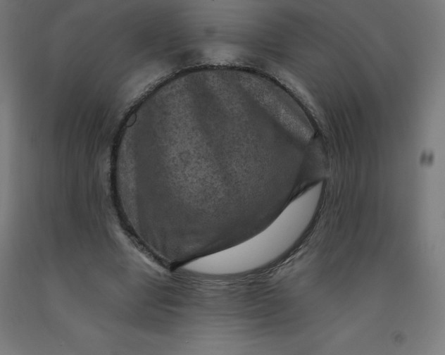 X0000092000442200709271511