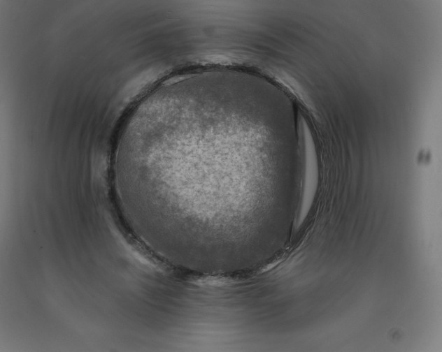 X0000092000444200709271511