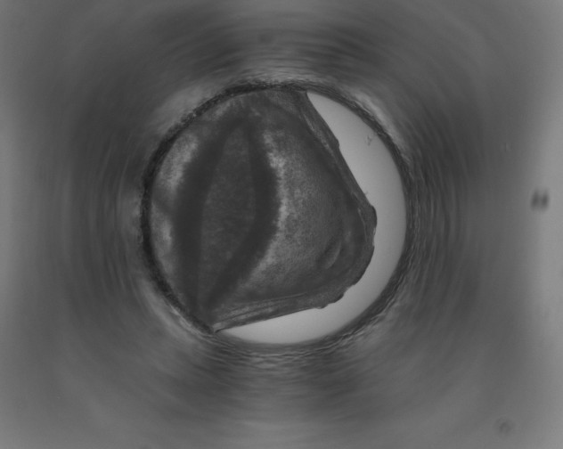 X0000092000447200709271511