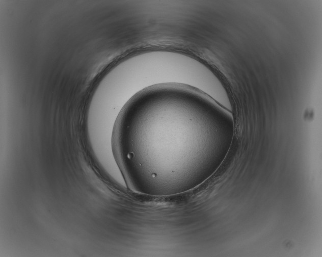 X0000092000448200709271512