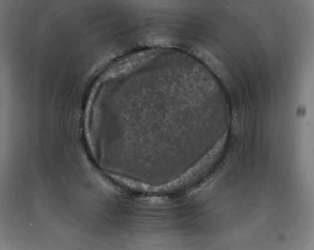 X0000092000449200709271512