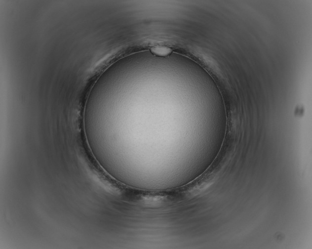 X0000092000450200709271512