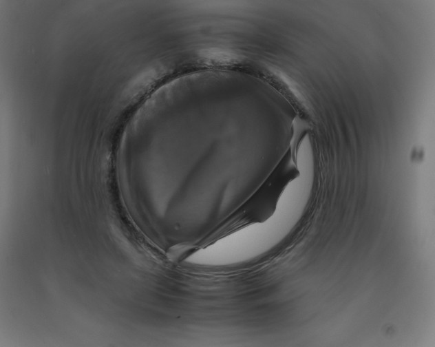 X0000092000451200709271512