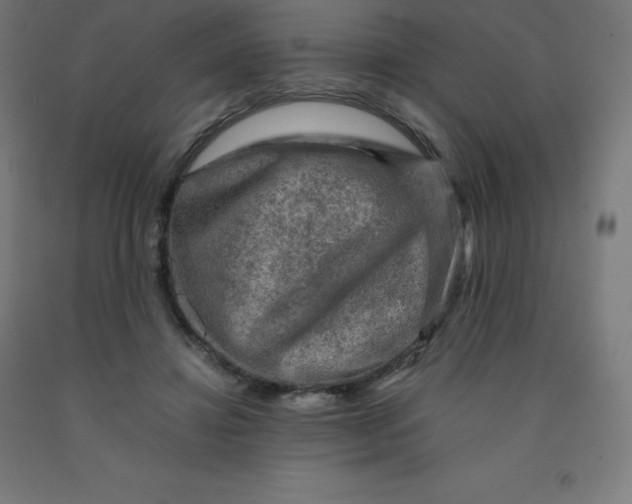 X0000092000452200709271512