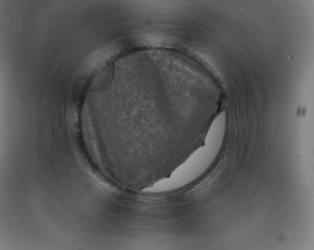 X0000092000453200709271512