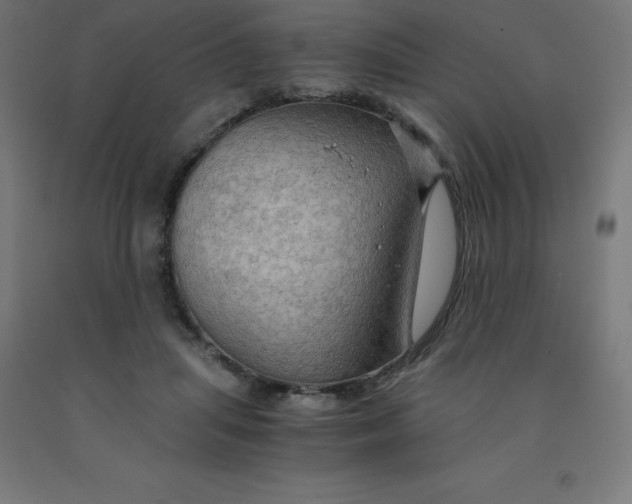 X0000092000455200709271512