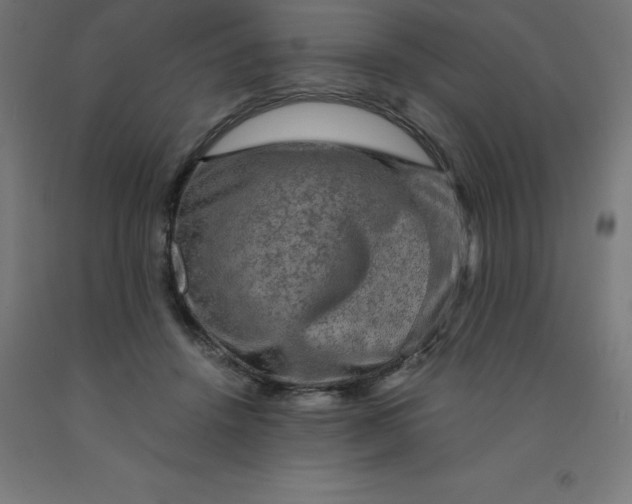 X0000092000456200709271512