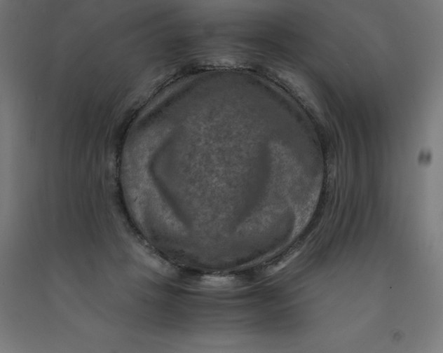 X0000092000457200709271512