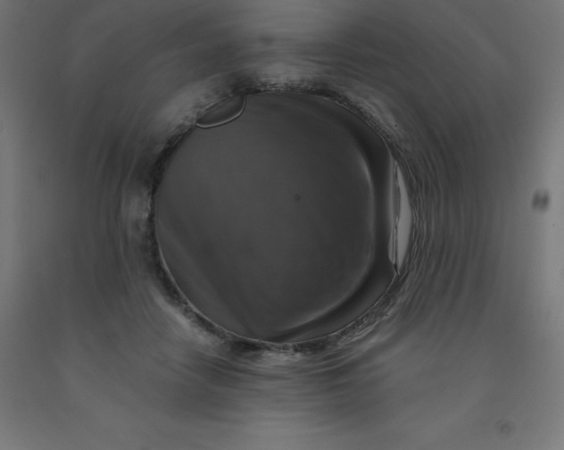 X0000092000458200709271512