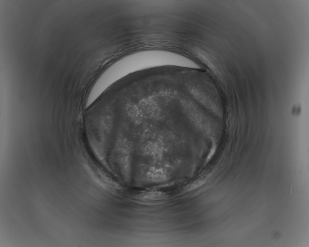 X0000092000459200709271512